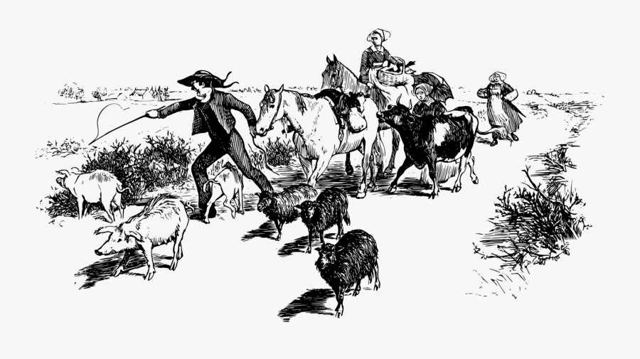 Visual Arts,art,monochrome Photography - Livestock, Transparent Clipart