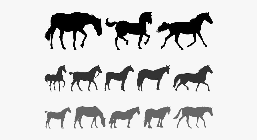 Horse Silhouette Equestrianism Clip Art - Horse Silhuet Free Vector, Transparent Clipart