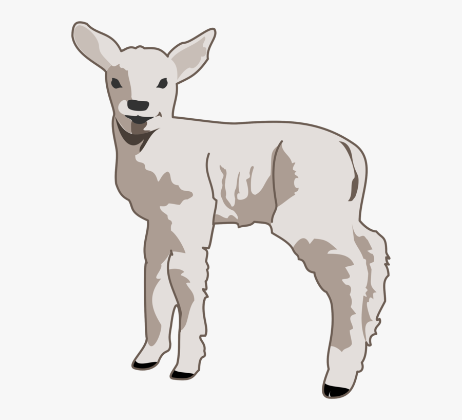 Donkey,livestock,deer - Sheep Clip Art, Transparent Clipart