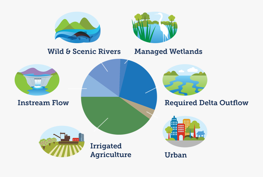 Graphic Design, Transparent Clipart