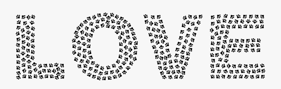 Circle, Transparent Clipart