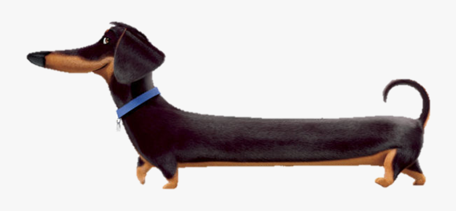 Weiner Dog Png - Character In Secret Life Of Pets, Transparent Clipart