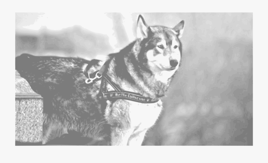 Monochrome Breed - Siberian Husky, Transparent Clipart