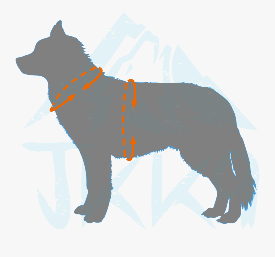 Clip Art Freeuse Library Bottoms Clip Harness - Silhouette Dogs, Transparent Clipart