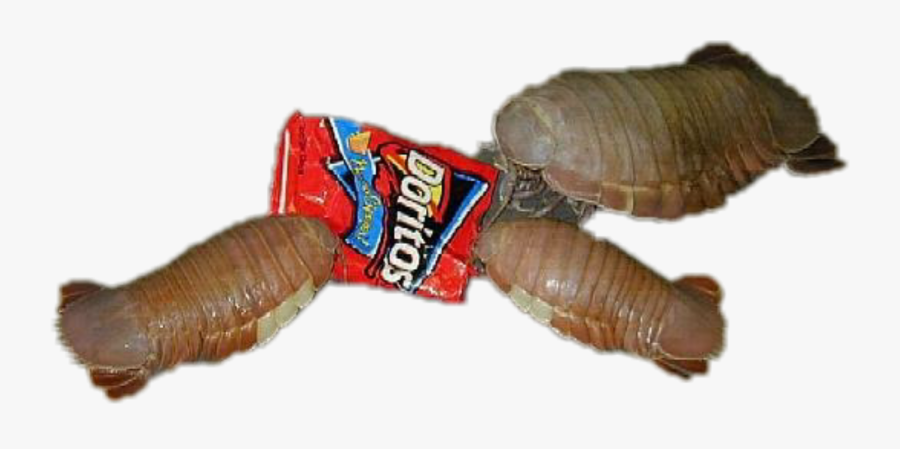 Crabs Clipart Crab Food - Mysterious Giant Scuttlers, Transparent Clipart