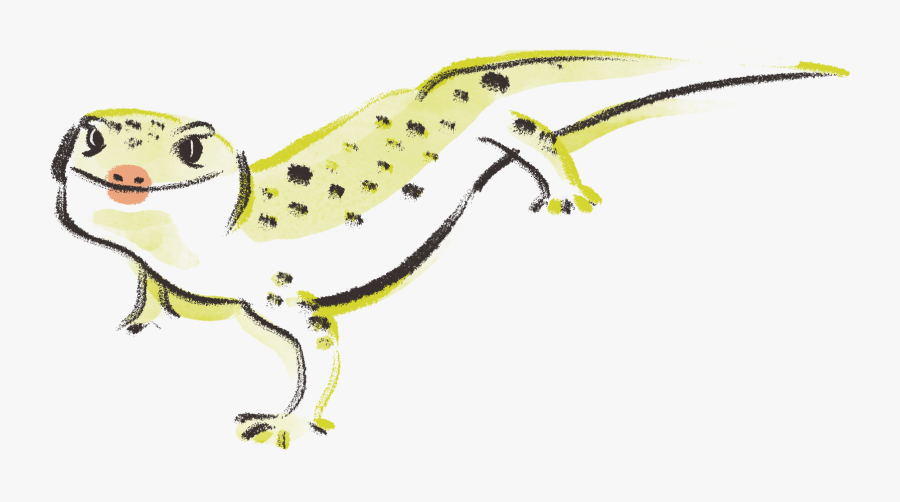 Invertebrate, Transparent Clipart
