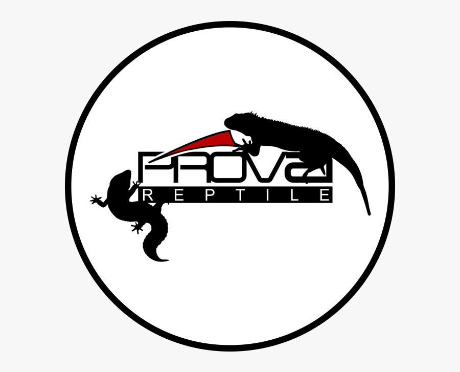 Prova Reptile, Transparent Clipart