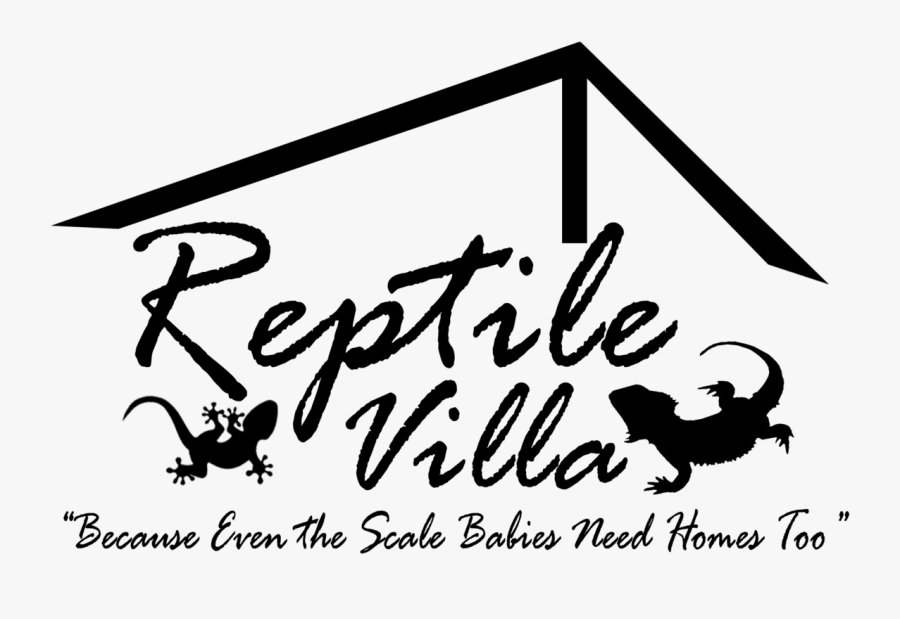 Creed Millesime 1849, Transparent Clipart