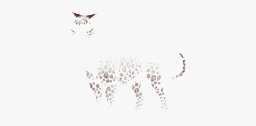 Siamese, Transparent Clipart