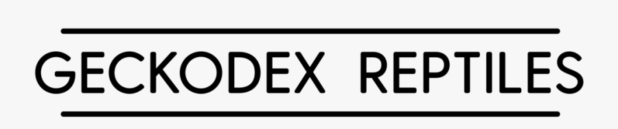 Leopard Gecko Clipart, Transparent Clipart