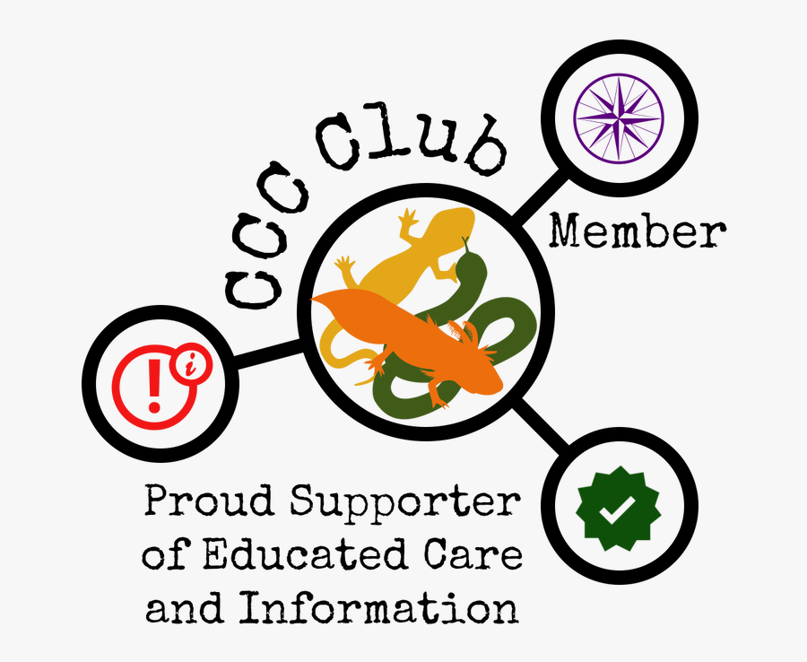 Picture - Simple Daisy Clipart Black And White, Transparent Clipart