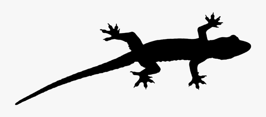 Gecko Lizard Fauna Font Silhouette - Gecko Silhouette, Transparent Clipart