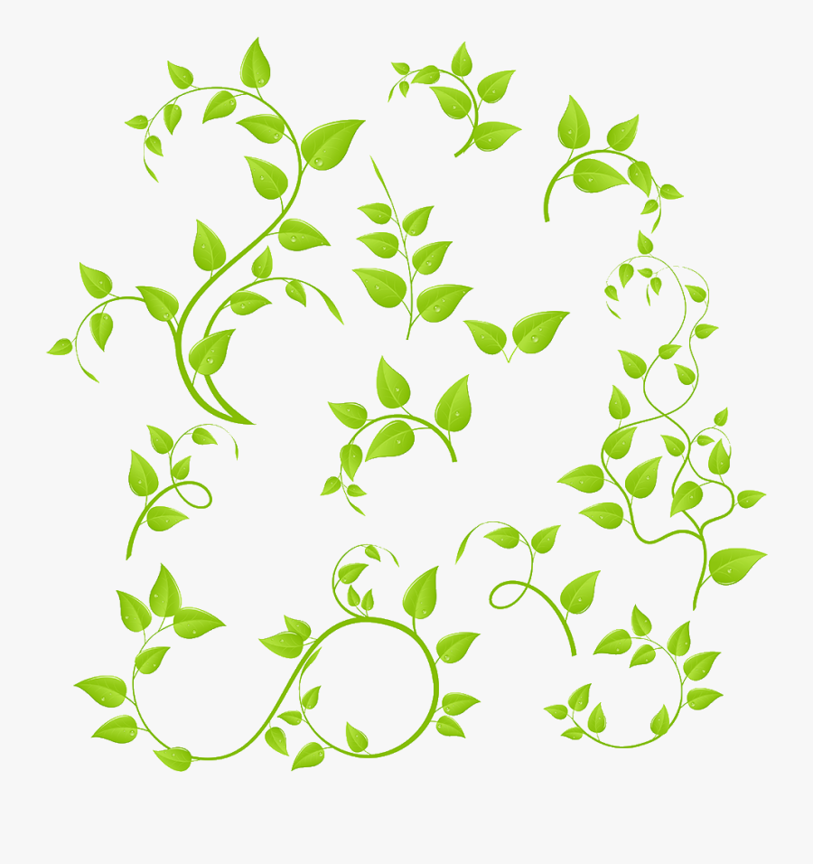 Ramas Verdes, Transparent Clipart