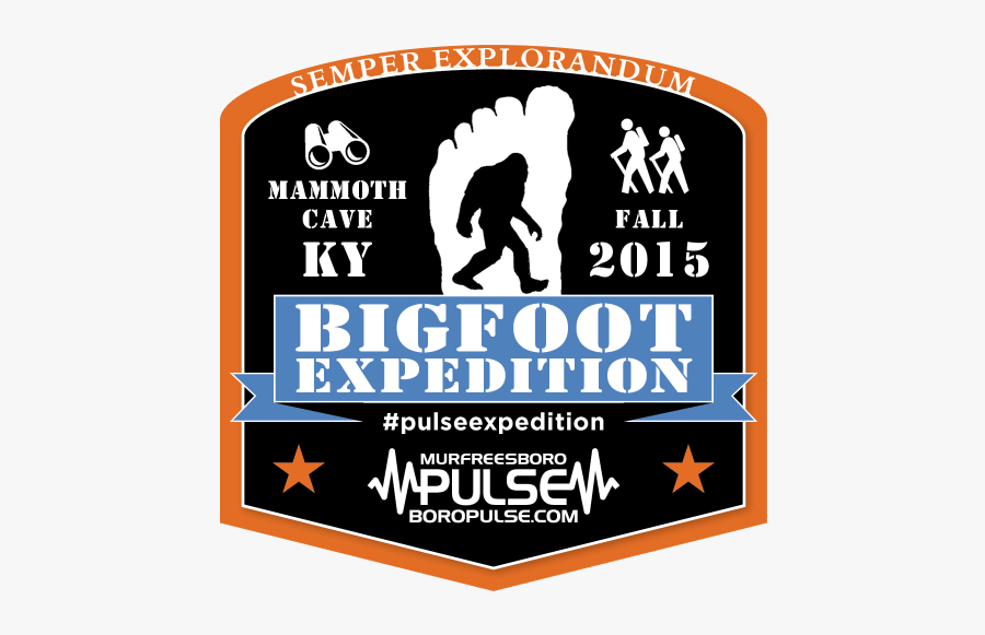 Graphic Design, Transparent Clipart