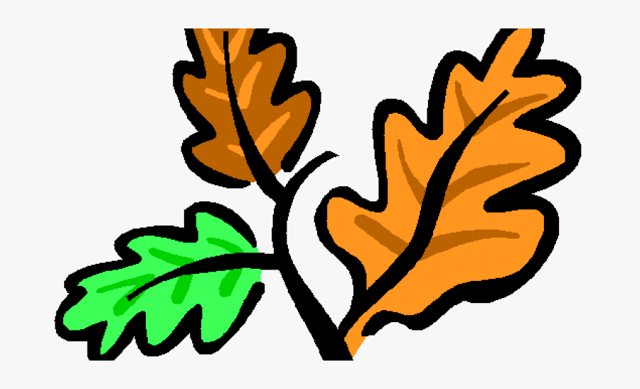Fall Yard Cleanup - Questions About Agriculture Food And Natural Resources, Transparent Clipart