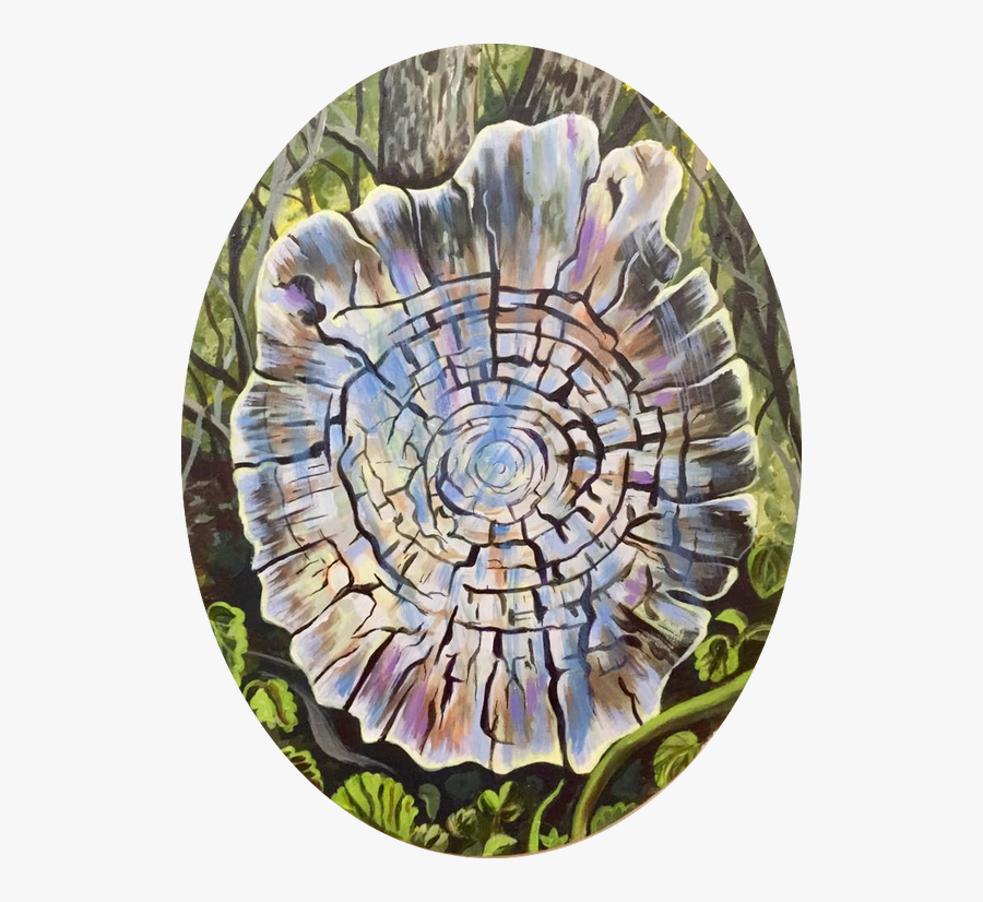 Circle Of Life - Circle, Transparent Clipart