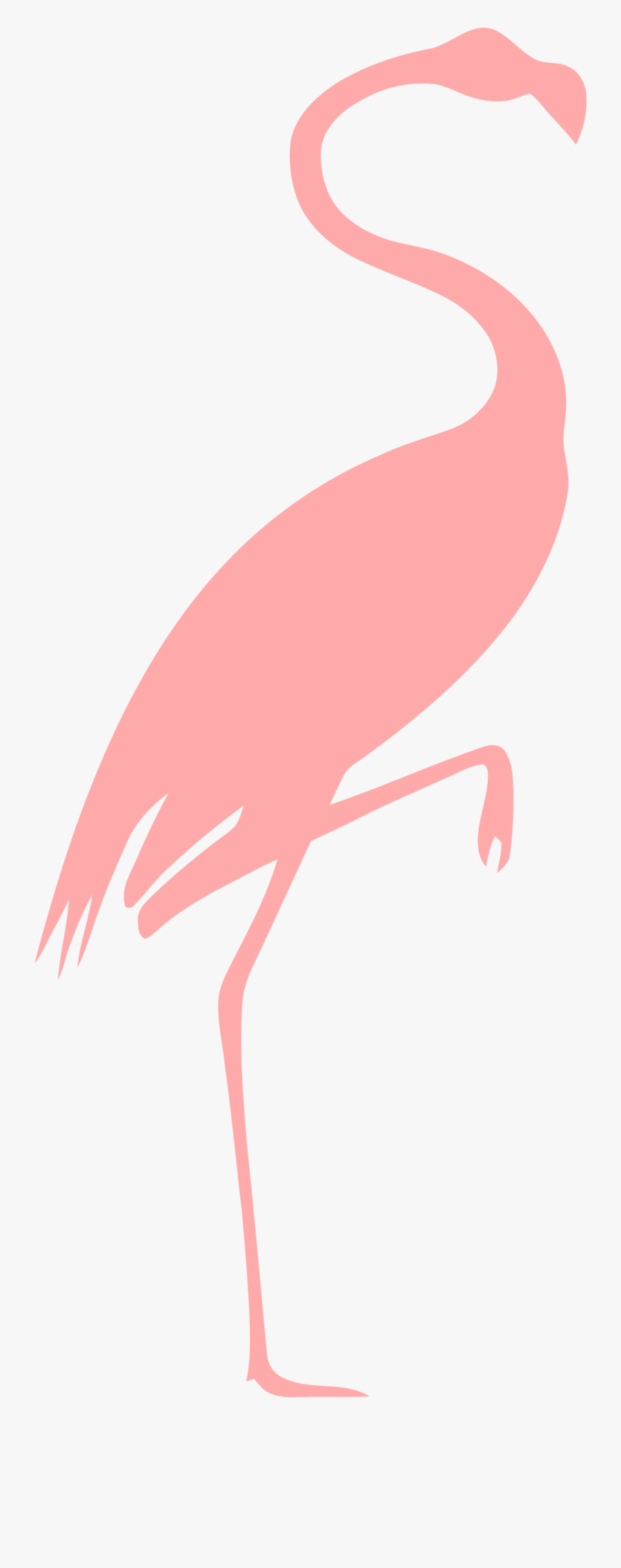 Flamingo Outline Pink, Transparent Clipart