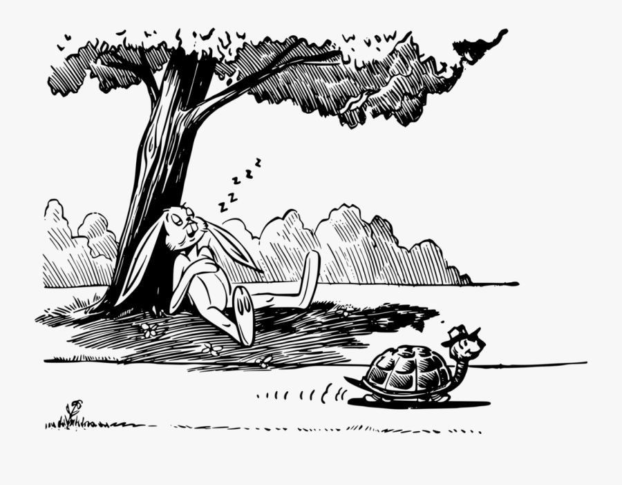 Clipart Hare And Tortoise, Transparent Clipart
