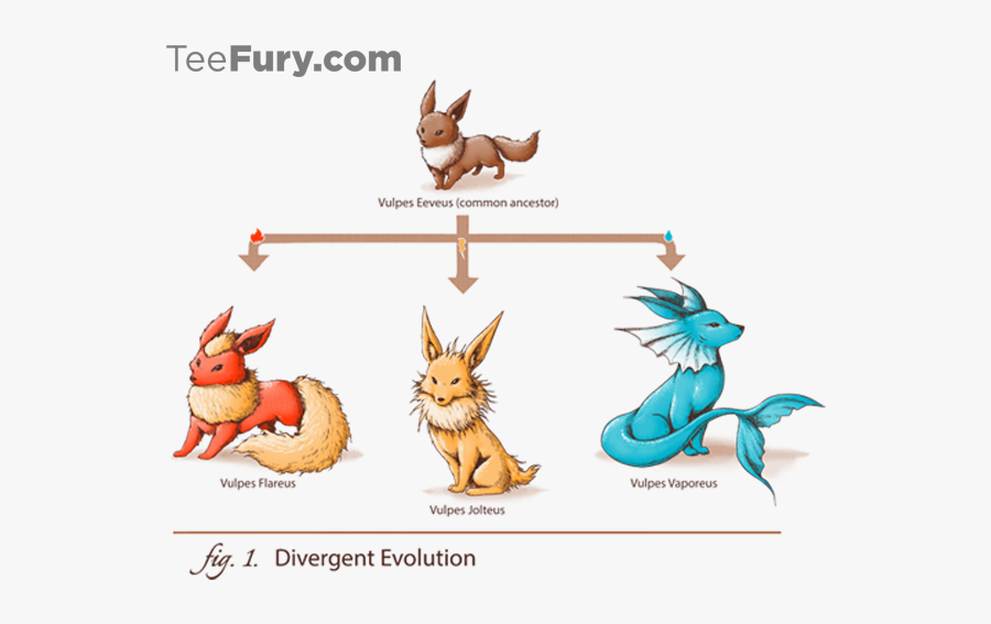 Cute Eevee Evolution Free Transparent Clipart Clipartkey