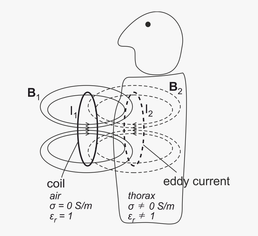 Line Art, Transparent Clipart