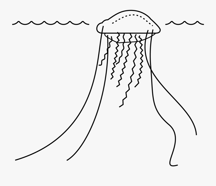 Line Art, Transparent Clipart