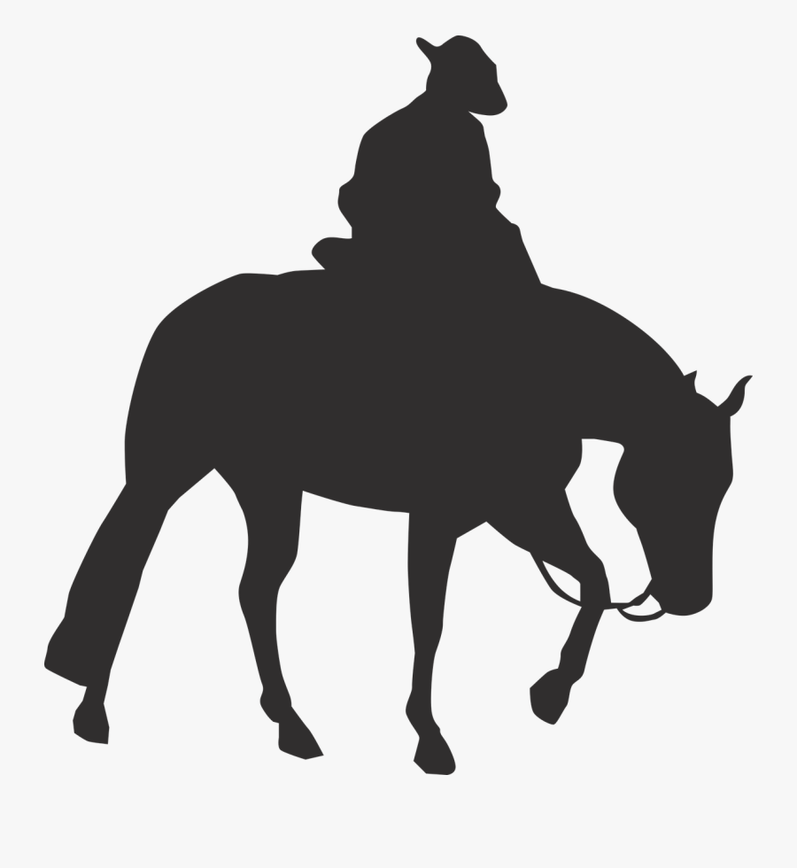 Rocky Mountain Horse Pony Vector Graphics Equestrian Cowboy On Horse Silhouette Png Free Transparent Clipart Clipartkey