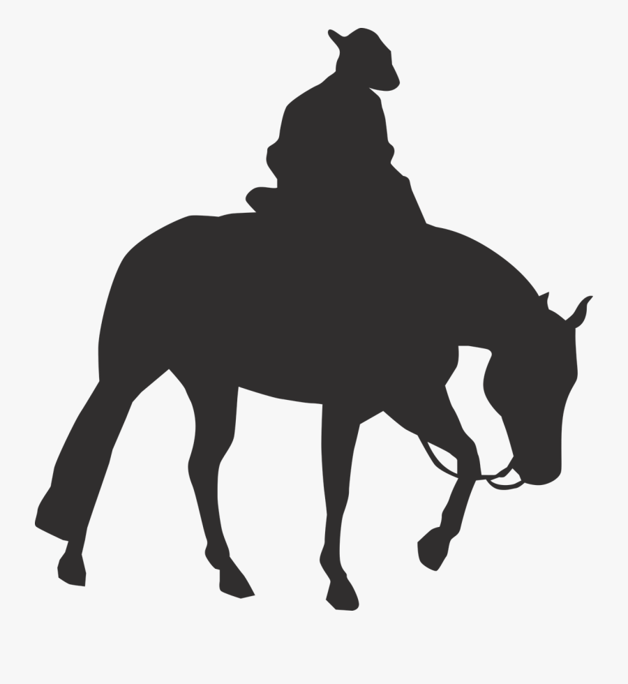 Rocky Mountain Horse Pony Vector Graphics Equestrian - Cowboy On Horse Silhouette Png, Transparent Clipart