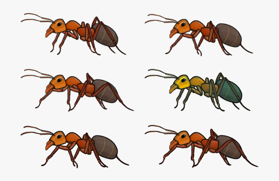 Free Game Art Arnie - Carpenter Ant, Transparent Clipart