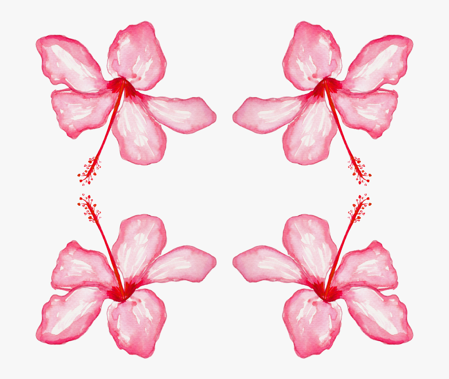 Oleander, Transparent Clipart