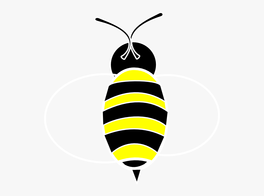 Honeybee, Transparent Clipart