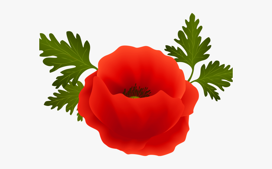 Poppy Clipart Png, Transparent Clipart