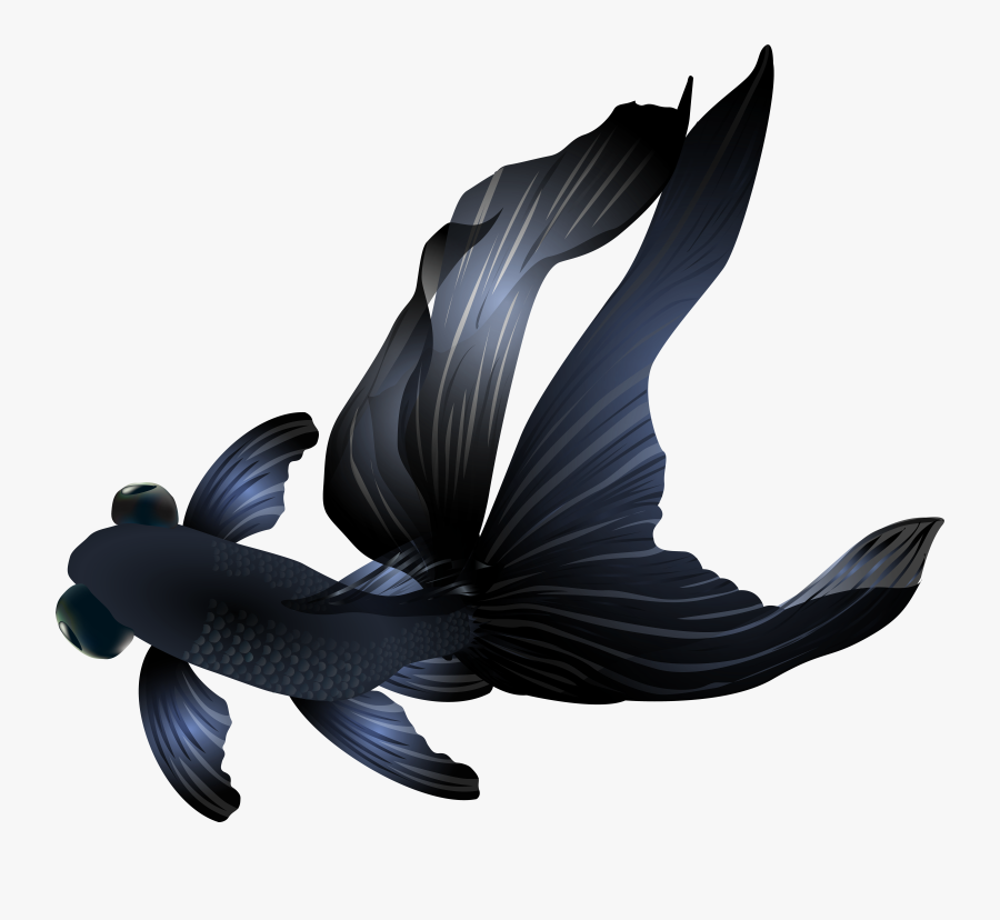 Goldfish Clipart Transparent Background, Transparent Clipart