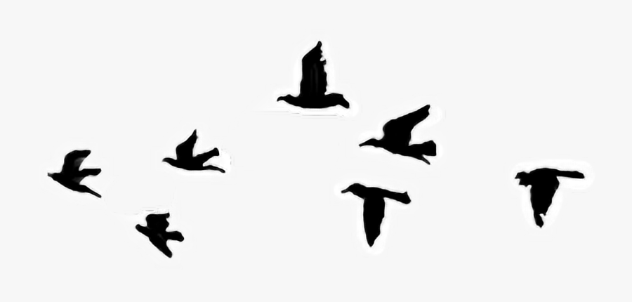 Bird Tattoo Sky Cabs Clip Art Drawing - Simple Black Bird Drawing, Transparent Clipart