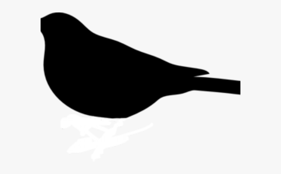 Chicken, Transparent Clipart