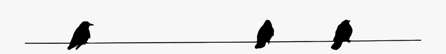 Birds On Wire Icon, Transparent Clipart