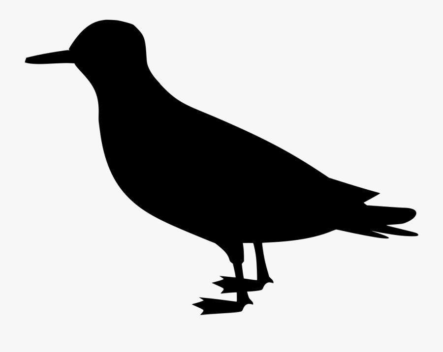 Raven Silhouette Hd, Transparent Clipart