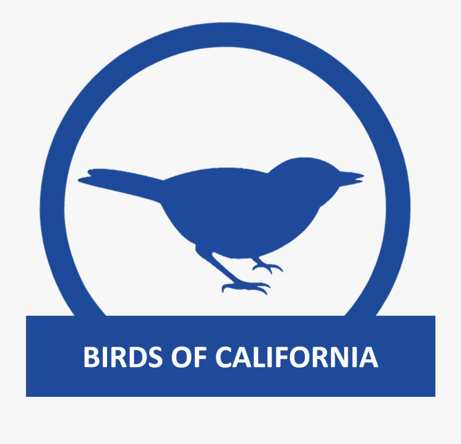 Birds Of California, Transparent Clipart