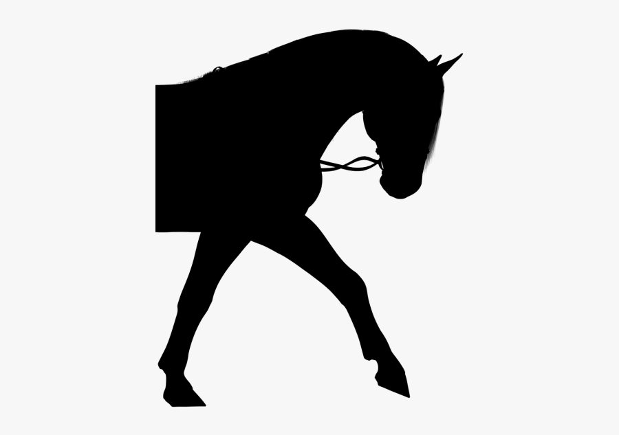 Horse Silhouette Pony - Drawings Of People Riding Horses, Transparent Clipart
