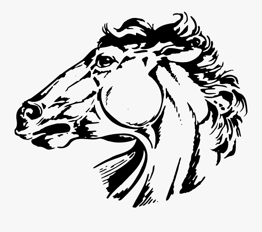 Conner Middle School Colt, Transparent Clipart