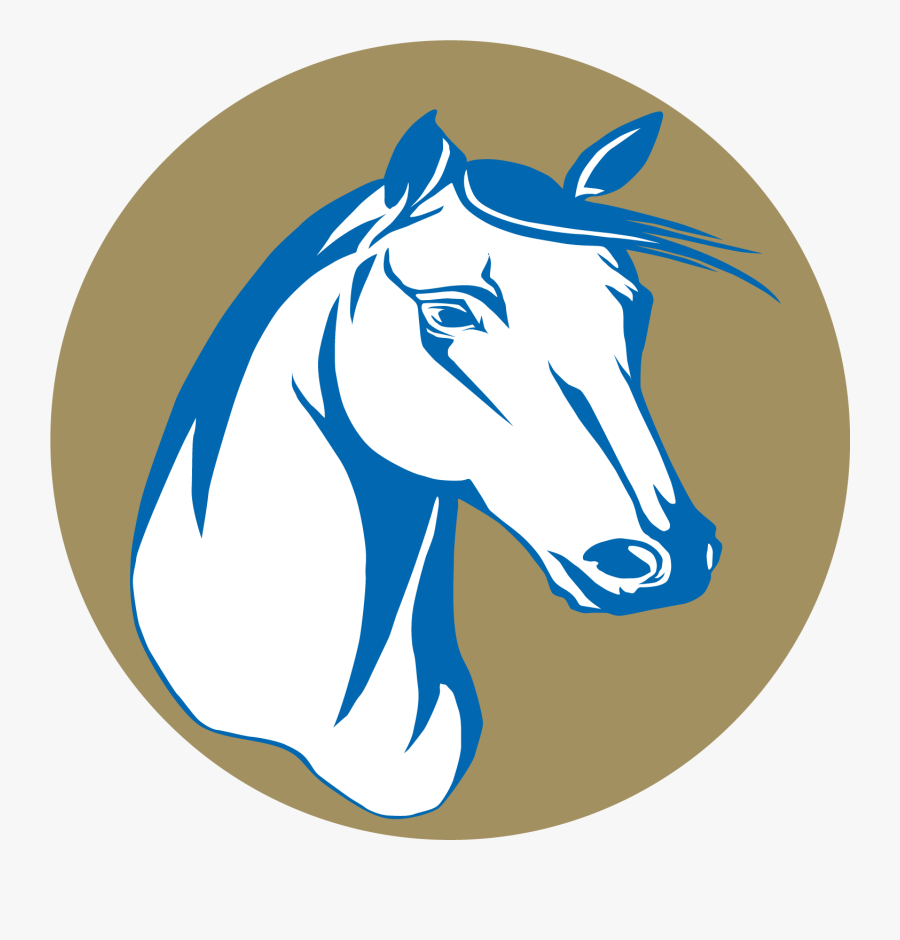 Stallion, Transparent Clipart