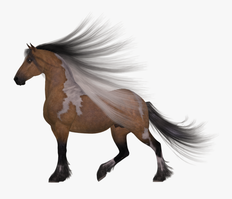 Transparent Race Horses Clipart - Silhouette Of Gypsy Horse, Transparent Clipart