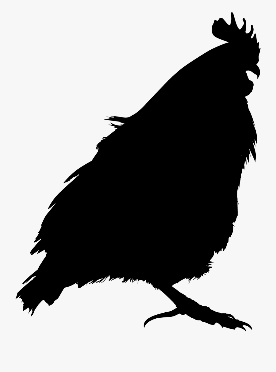 Bird Vector, Transparent Clipart