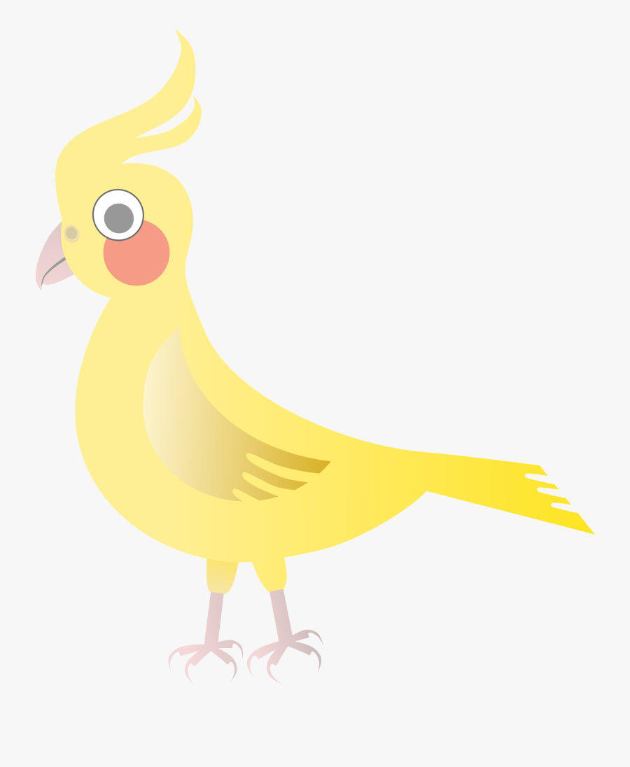 Abstract Bird 4 1969px - Phasianidae, Transparent Clipart