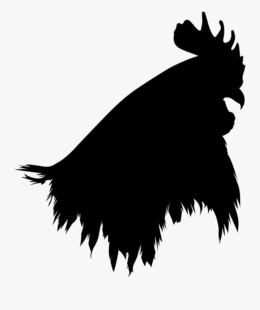 Bird Vector, Transparent Clipart