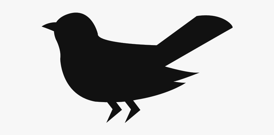 चखुला - Chicken, Transparent Clipart