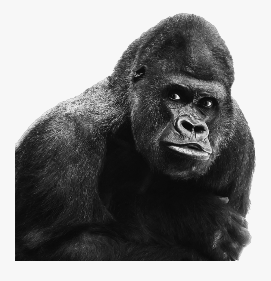 King Kong, Transparent Clipart