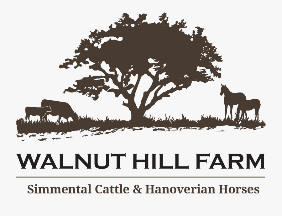 Logo Tree Farm Branch Clip Art - Horse And Cattle Farm Logo, Transparent Clipart