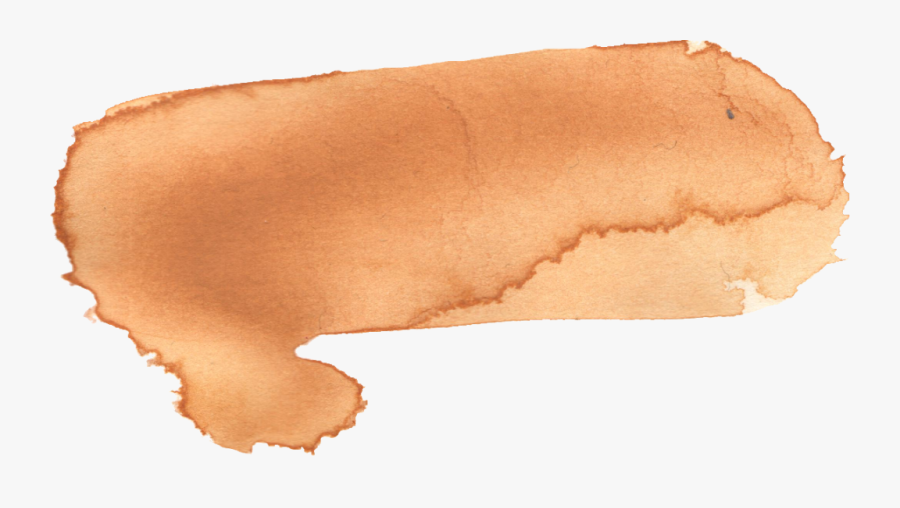 Flatworm, Transparent Clipart