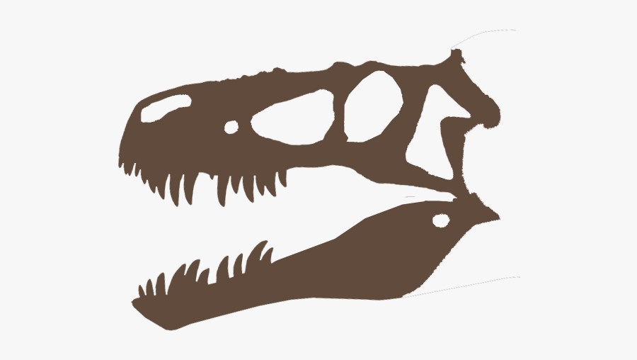 Skull, Transparent Clipart