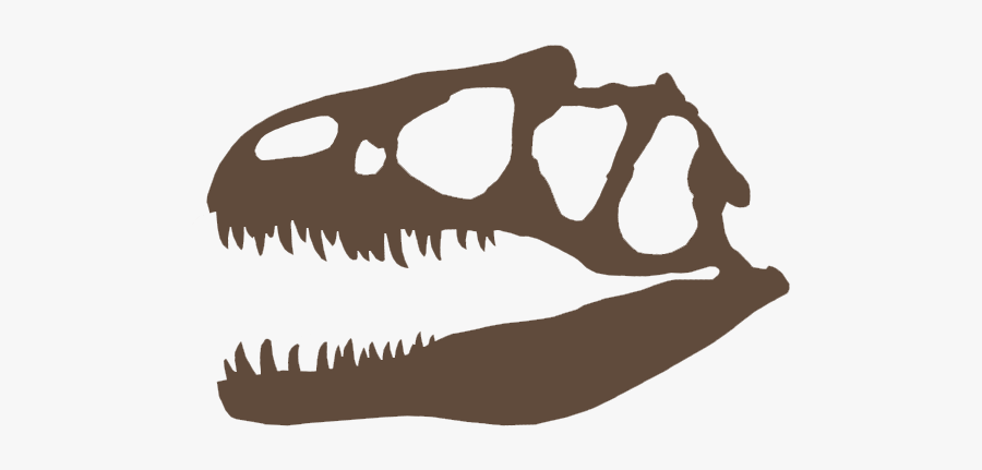 Skull, Transparent Clipart